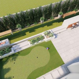 Goldenrod 5 Photo scaled